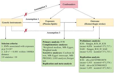 The plasma lipids with different fatty acid chains are associated with the risk of hemorrhagic stroke: a Mendelian randomization study